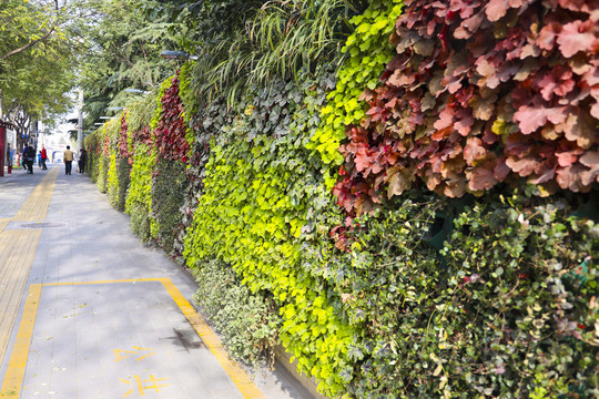 市政绿植墙