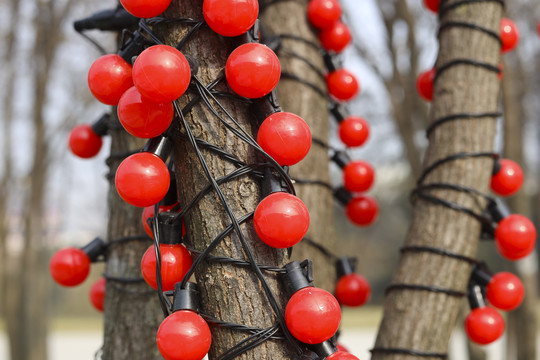 园林苗木景观装饰红色灯珠