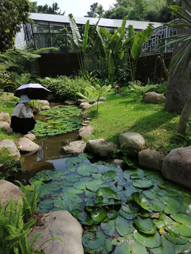 厦门植物园