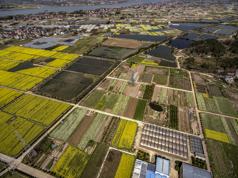 浙江兰溪岩头村油菜花田航拍