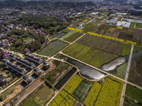 浙江兰溪岩头村油菜花田航拍