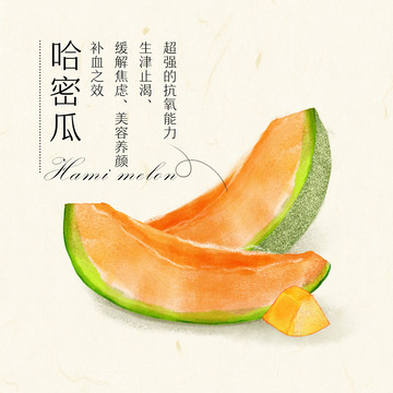 哈密瓜手繪插畫