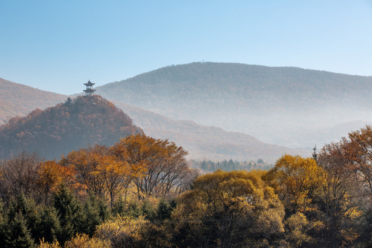 五花山