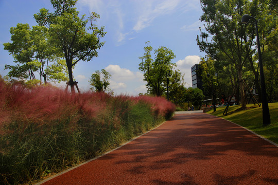 红谷滩步道