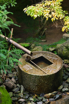 石水池特写