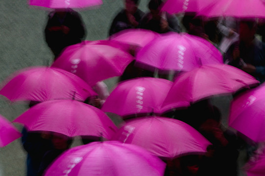 雨中的紫色雨伞