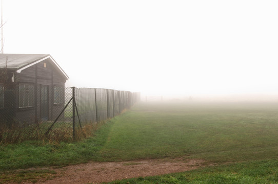 雾天的牧场