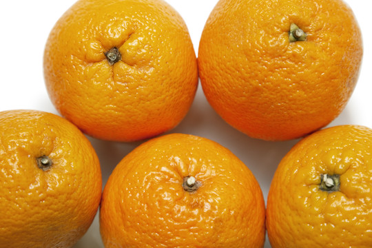 鲜橙子的特写镜头