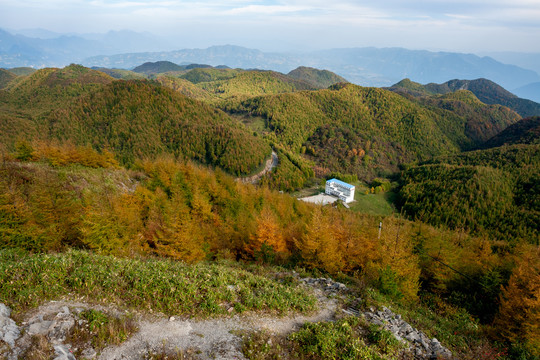 重庆巫山梨子坪森林公园