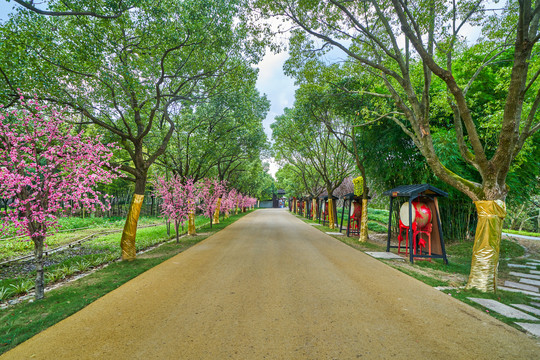 园林景观路