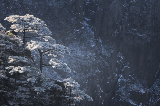 中国安徽黄山风景区云海