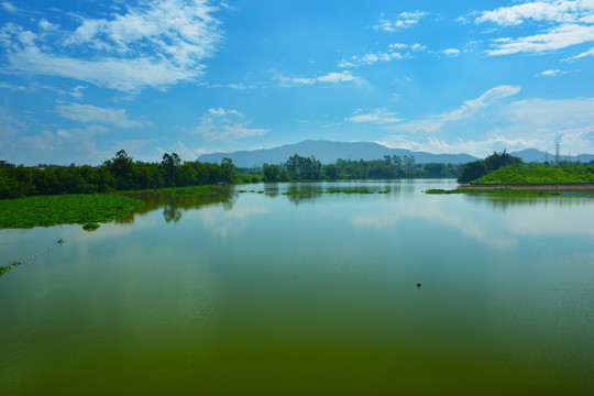 潭江风景