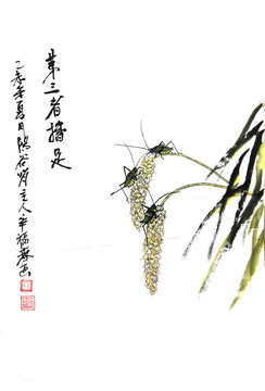 谷穗螞蚱