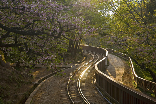 台湾森林铁路