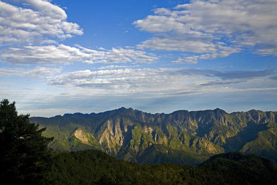 台湾阿里山