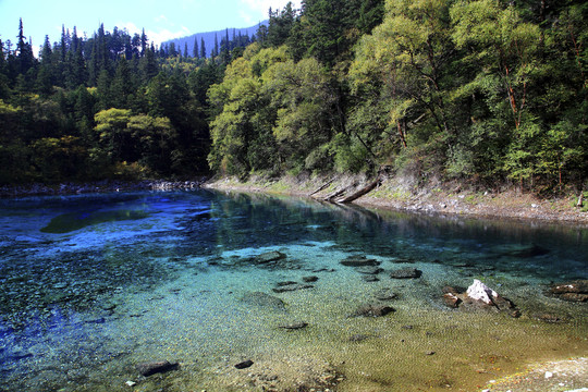 九寨沟五彩湖风景