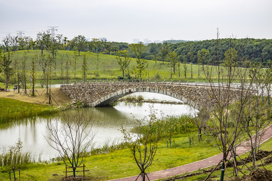 建设中的湿地公园