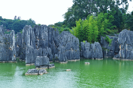 云南石林风景区