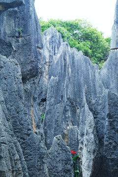 云南石林石峰