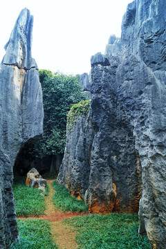 云南石林石峰