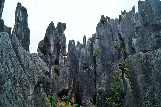 云南石林石峰