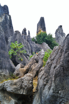 石林石峰