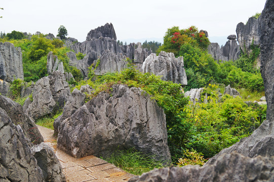 云南石林风景