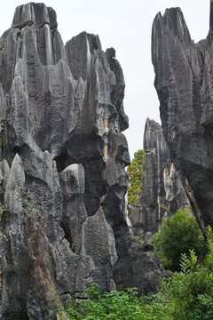 云南石林风景