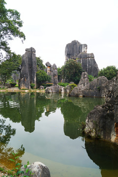 昆明小石林风景