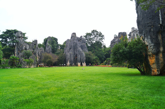 云南小石林风景