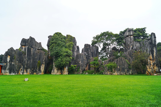 云南小石林风景