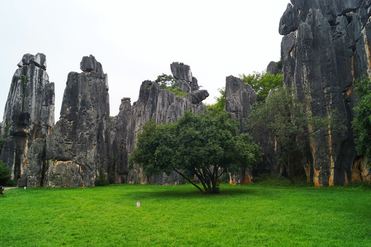 云南小石林风景