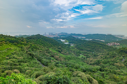 黄山鲁森林公园