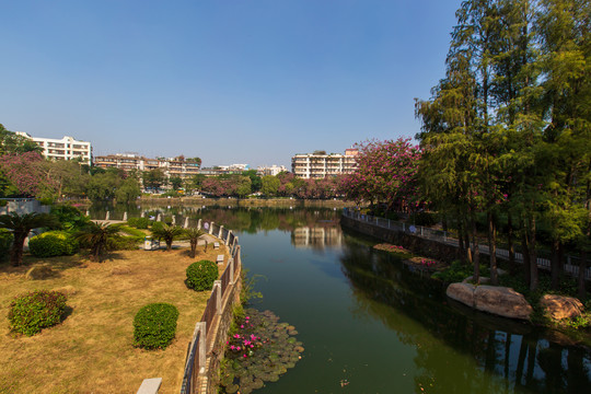 广东湛江寸金纪念广场湖泊