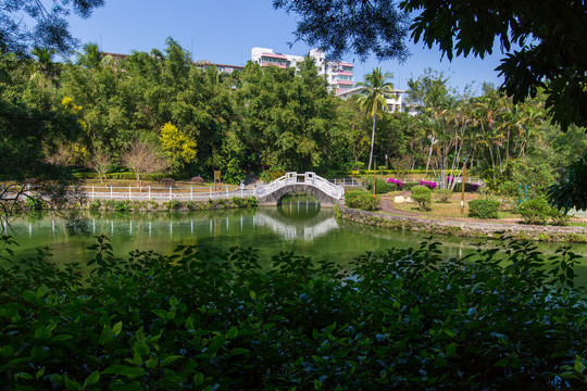 广东湛江寸金桥公园鸳鸯岛石桥