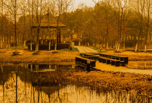 独墅湖湿地