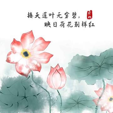 蓮花荷花
