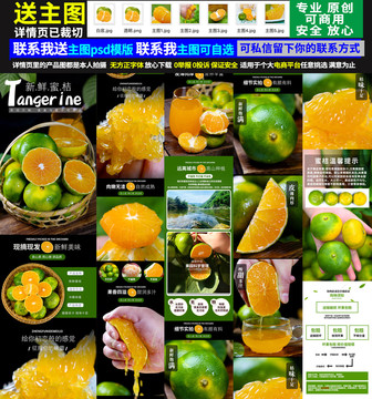 蜜桔詳情頁