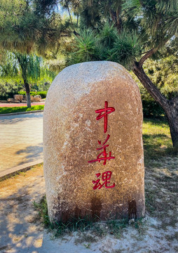 济南百里黄河风景区