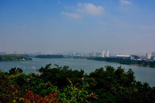 南京玄武湖周边城市群