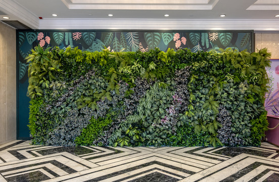 绿色植物装饰背景墙