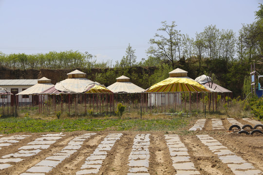 田園生活蒙古包