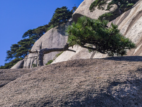 安庆天柱山