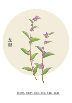 龍膽