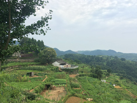 田野风光