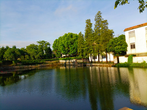 陈瑞祺中学湖景