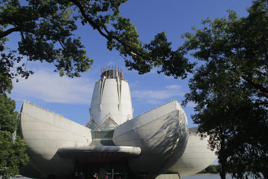 树荫莲花型建筑