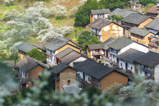 广西农村民居