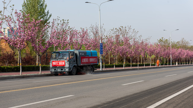 开满樱花的道路