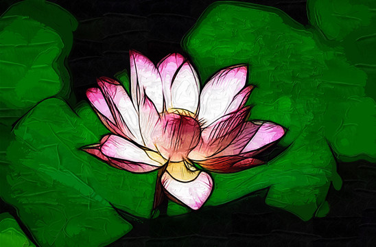 荷花油畫